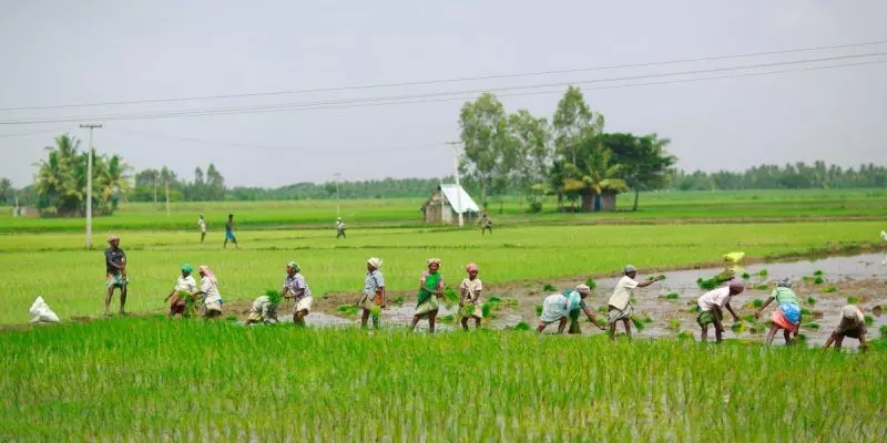 తెలంగాణలో అతి వేగంగా వృద్ది చెందుతున్న వ్యవసాయ ఎగుమతులు