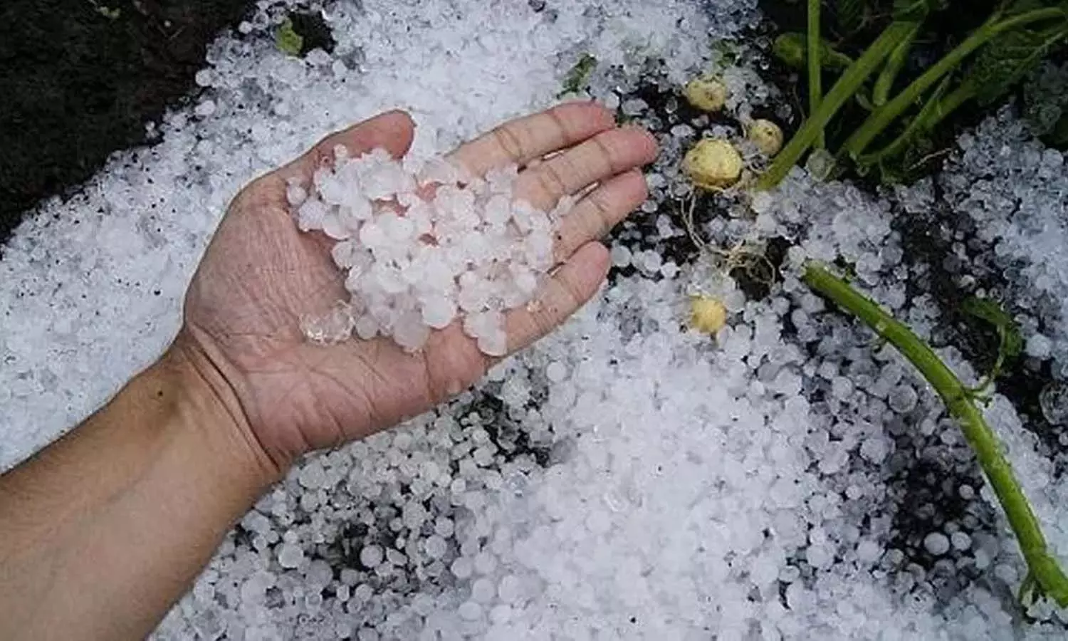 How Hailstones are formed: వడగండ్లు ఎలా ఏర్పడతాయంటే