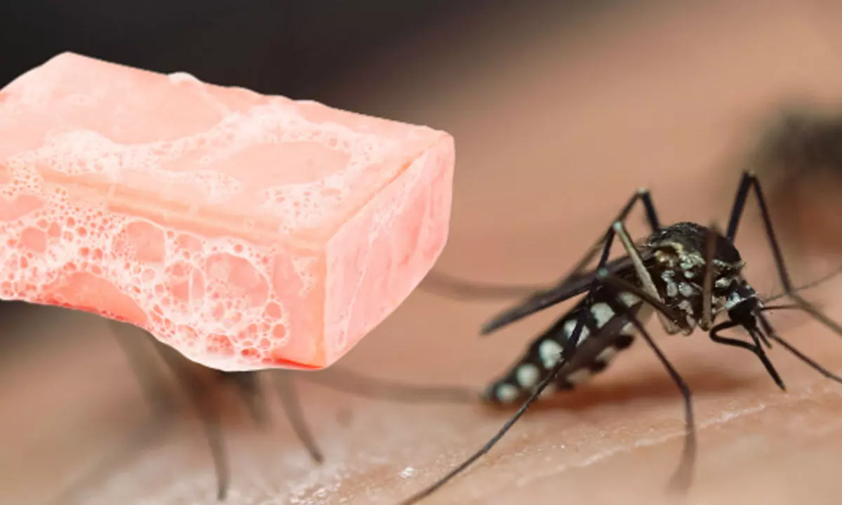 Soap can make humans more attractive to mosquitoes
