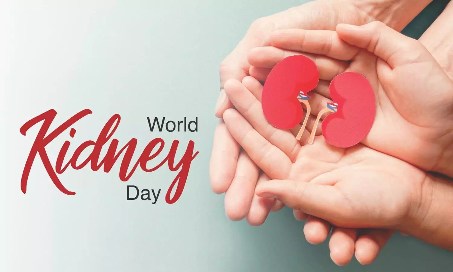 World Kidney day 2024: కిడ్నీలు ఆరోగ్యంగా ఉండాలంటే.. ఈ జాగ్రత్తలు తీసుకోవాల్సిందే