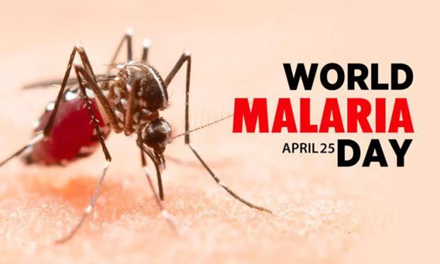 World Malaria Day 2024: మానవాళిని పీడించే మలేరియా.. జాగ్రత్తపడదామిలా