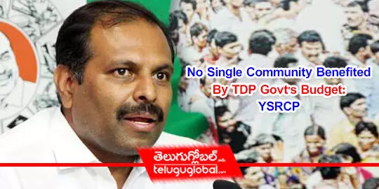 No Single Community Benefited By TDP Govts Budget: YSRCP 