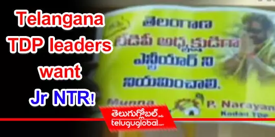 Telangana TDP  leaders want Jr NTR!