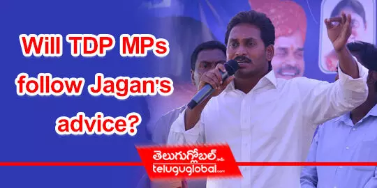 Will TDP MPs follow Jagans advice?
