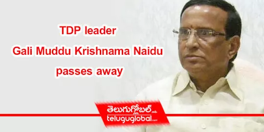 TDP leader Gali Muddu Krishnama Naidu passes away