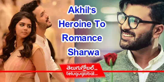 Akhils Heroine To Romance Sharwa