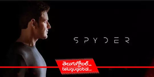 Its 100 days for Spyder