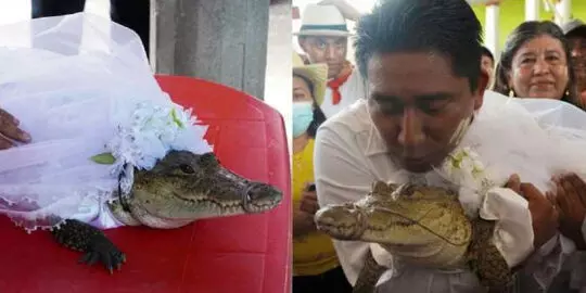 Mexico mayor marries alligator dressed as a bride in age-old ritual.