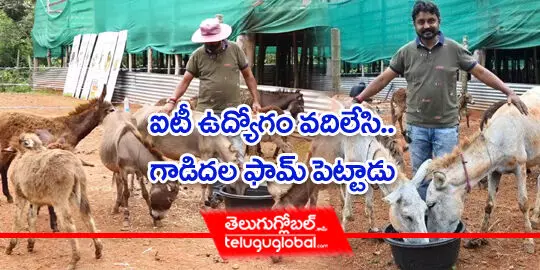 Srinivas-gowda-quit-it-job-open-donkey-milk-farm